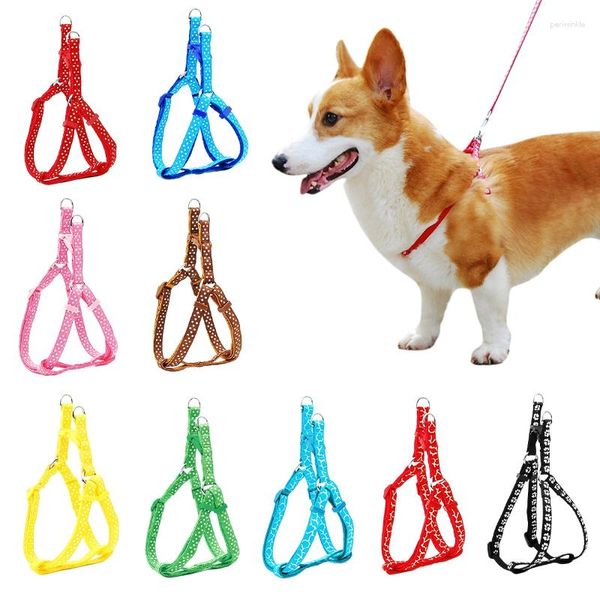 Colliers pour chiens Harnais D-ring Chat Nylon Sangle VestLeash Set Réglable Chiot Marche En Plein Air Courir Pour Petits Animaux Fournitures