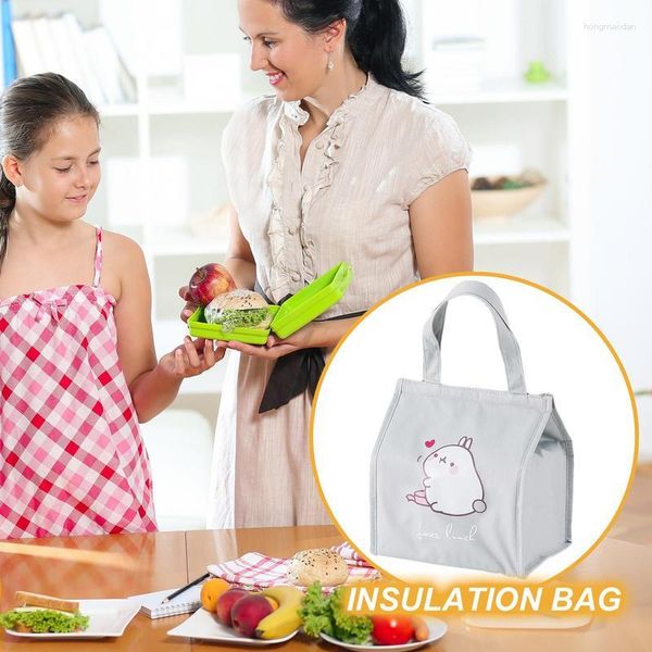 Borse portaoggetti Borsa da pranzo portatile Isolamento termico Porta alimenti da picnic Porta bevande per frutta per accessori da esterno per la scuola da campeggio