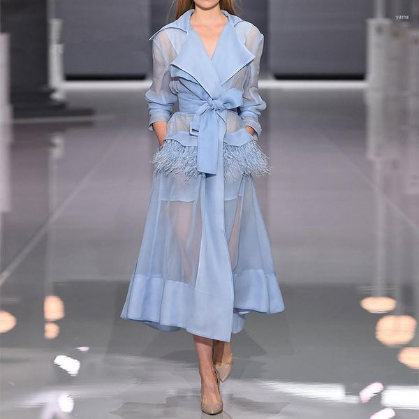 Lässige Kleider Europäischen Designer Runway 2023 Sommer Herbst Elegante Vintage Langarm Federn Organza Madi Kleid Weiß/Blau
