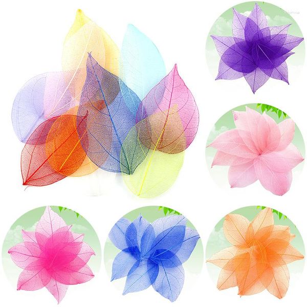 Dekorative Blumen 20 teile/satz Natürliche Blatt Ader Getrocknete Nail art Material Für DIY Lesezeichen Party Home Decor Handgemachte Materialien