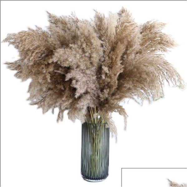 Fiori decorativi Ghirlande Decorazione Pampas Erba pomposa Piante essiccate di Pampass Soffici steli Pompus Naturale alto Grande gambo bianco marrone Dhyd8