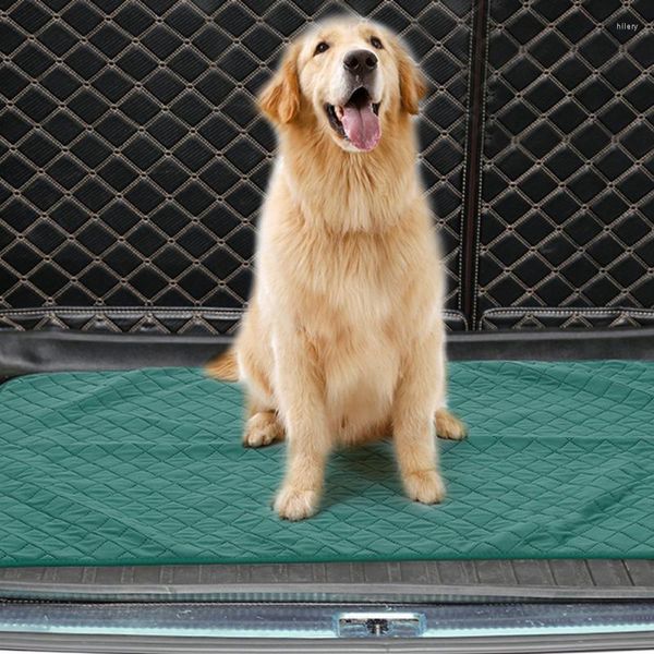 Canis S/M/L para cães de estimação absorvente de urina ambiente protetor fralda tapete lavável para produtos de almofada de treinamento de filhotes