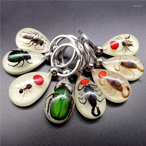 Schlüsselanhänger Leuchtende Nachahmung Skorpion Schlüsselanhänger - Produkt Künstliche Krabbe und Schlüsselanhänger Tasche Auto Ring Geschenk