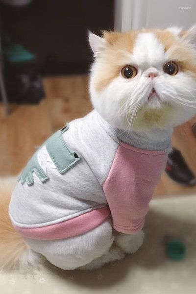 Vestuário para cães Roupas pequenas para animais de estimação Teddy Pomeranian Primavera Verão e Outono Dias Plus Moletom de Lã