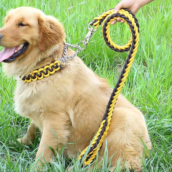 Collari per cani Corda intrecciata a doppio filo Grandi guinzagli Metallo P Fibbia a catena Colore Collare per trazione per animali domestici Set per cani di grossa taglia