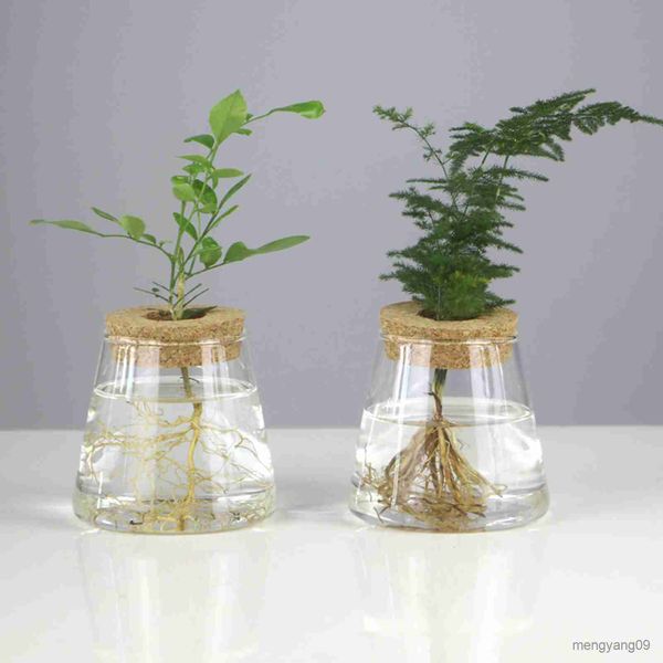 Jardinières Pots Pot bunga hidroponik Mini tanaman transparent Pot tanaman rumah tamu R230807