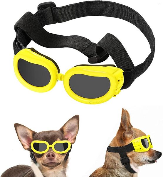 Собачья одежда носит дополнительные очки для глазных солнцезащитных очков игрушка солнце. Солнце мальтийский щенок Небольшо