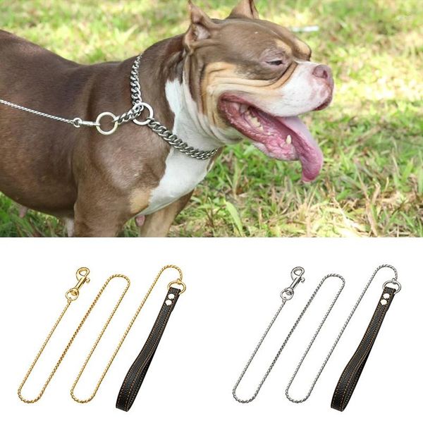 Coleiras para cachorro 4,0 mm 316L aço inoxidável coleira de cobra super forte banhada a ouro corda de chumbo para animal de estimação com alça de couro