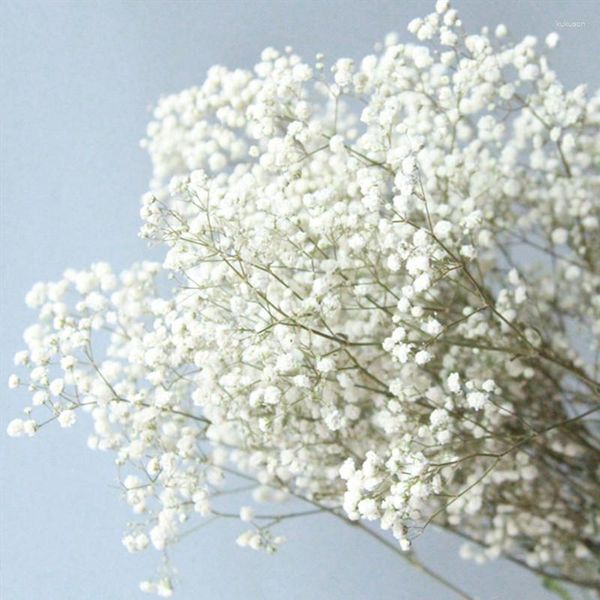 Flores decorativas branco cor primária seca 80g/cacho buquês naturais para adereços de tiro mesa quarto casamento decoração de casa