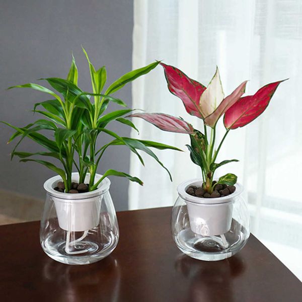 Vasos para plantadores Tanaman Pot Bunga Antik Transparan Plastik Tanaman Bonsai Rumah