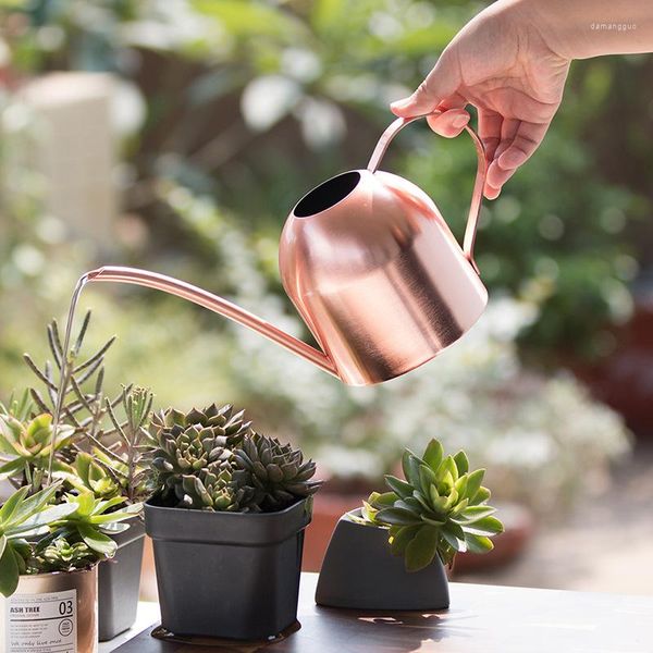 Bottiglie di stoccaggio Annaffiatoio da giardinaggio in acciaio inossidabile per uso domestico Succulente in metallo a bocca lunga in vaso