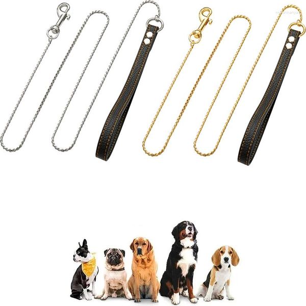 Coleiras para cães 2 em 1 Coleira de corrente para cachorro 316L Aço inoxidável Metal Choke Prata Dourado Corda de chumbo para animal de estimação com alça de couro