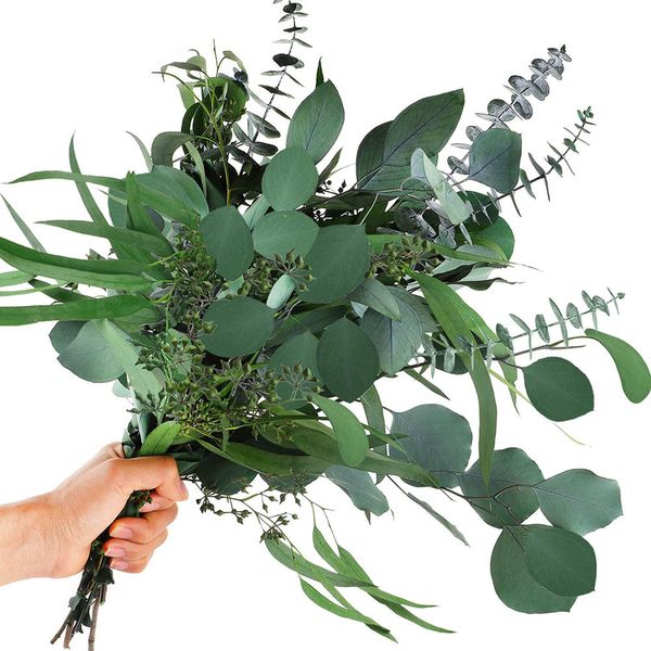 Coroas de Flores Decorativas 12 Pçs Mix de Folhas Secas de Eucalipto Caules Preservados Ramos de Dólares de Prata Buquês para Vasos Arranjos Florais 230808