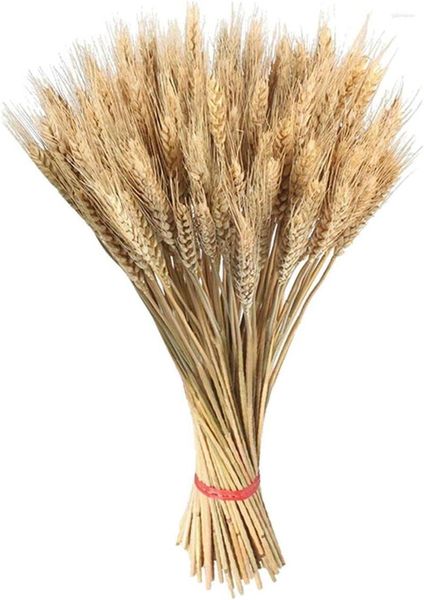 Fiori Decorativi 45 Cm 100 Pz Fagotto Di Covoni Di Grano Secco Bouquet D'oro Naturale Mazzo Disposizione Caduta Artificiale Design Fai Da Te Casa T