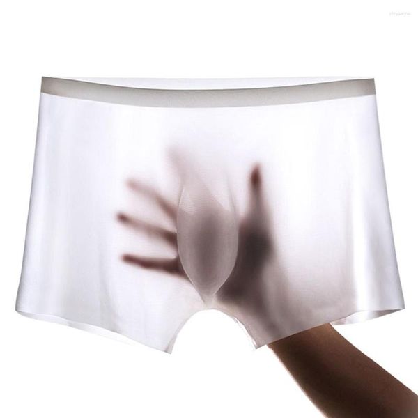 Unterhosen Herren Mesh Transparent Sexy Stil Silber Antibakterielle Eisseide Unterwäsche Atmungsaktiv Ultradünn