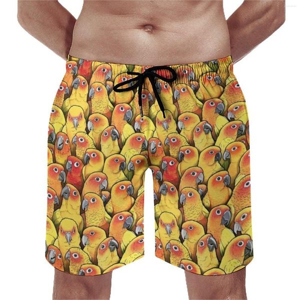 Shorts Masculino Amarelo Papagaio Ginásio Verão Sol Conures Estampa Esportes Praia Calças Curtas Secagem Rápida Calções de Banho Gráficos Grandes Tamanho Grande