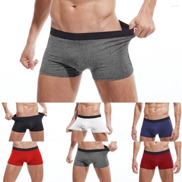 Shorts masculino 4 pçs/conjunto masculino cor sólida cós elástico cintura baixa cuecas boxers de algodão cuecas masculinas marca confortável