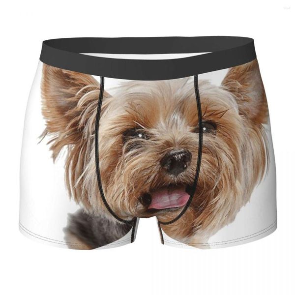 Mutande Uomo Cute Yorkie Yorkshire Terrier Boxer Shorts Mutandine Biancheria intima morbida Cane Animale Cucciolo Homme Novità