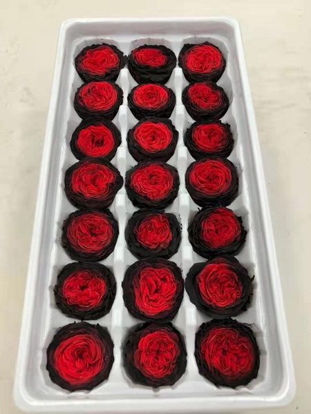 Fiori decorativi Cioccolato naturale conservato Austin Rose Flower Head Box Composizione materiale fai da te