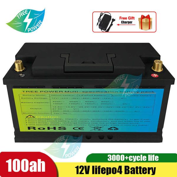 Батареи LifePo4 12 В 100 Айт -цикл литий -ионная батарея для RV Caravan Solar Marine Homes+10a Зарядное устройство