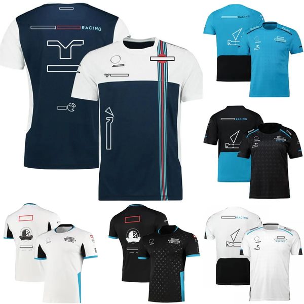 Camisetas masculinas F1 T-shirt Fórmula 1 Equipe T-shirts Fãs de corrida de manga curta Verão Casual T-shirt de secagem rápida Outdoor Extreme Sport Jersey Camisas 4VMU