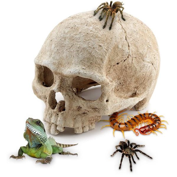 Аквариума моделирование смолы скелет головка костный череп Статуя Аквариум украшения для рептиль