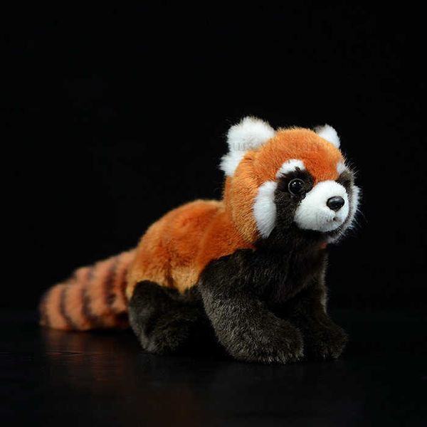 NEU 1PC 23 cm Realistisches Spielzeug Red Panda Bär Katze Lifelike Soft Toys Plüsch kleiner Panda Puppe für Kindergeschenke T230810