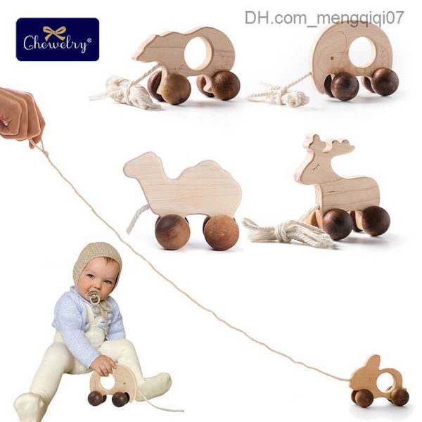 Pull Toys Montessori Baby ziehen