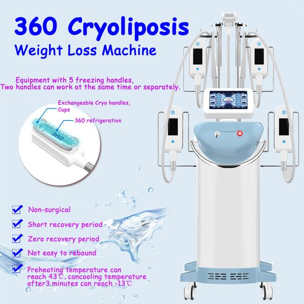 Perdita di peso cerofacciale perdita di peso criolipolisi gelido grasso dimagrante cryo macchina 5 gestisce l'uso domestico