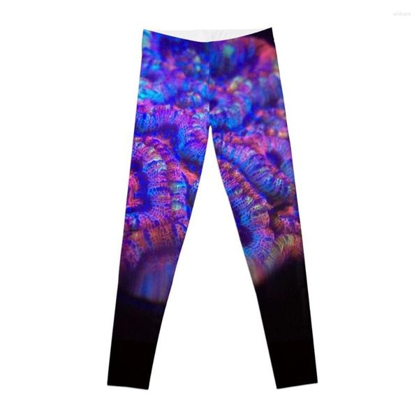 Calça ativa macro vermelho e azul wilsoni coral leggings ginástica mulher mulher esportes de fitness