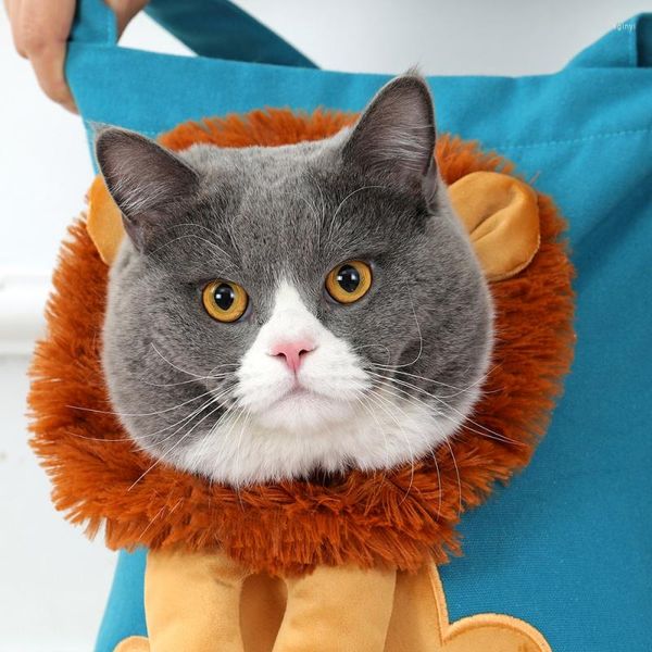 Carriers di gatti sacca per animali domestici a forma di leone divertente e morbida per viaggi in uscita per viaggi da viaggio con cerniere di sicurezza