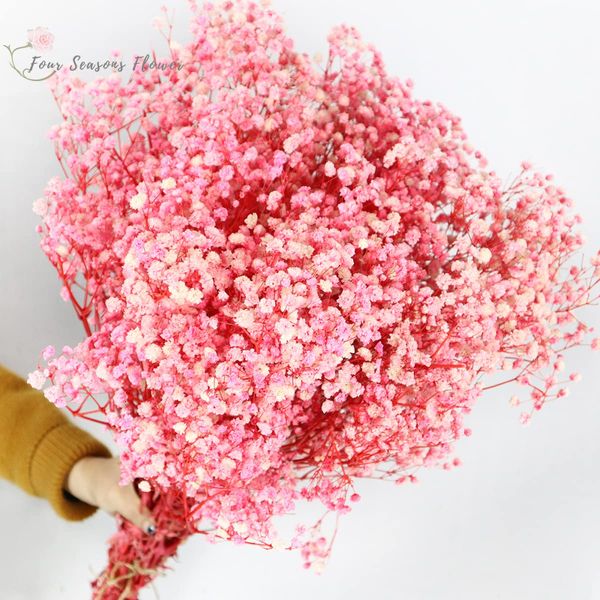 Fiori decorativi ghirlande 100 g/120G Gypsophile Floro secco vero respiro del bambino conservato per decorazioni per la casa boho fiori di nozze artificiale decorazione 230812