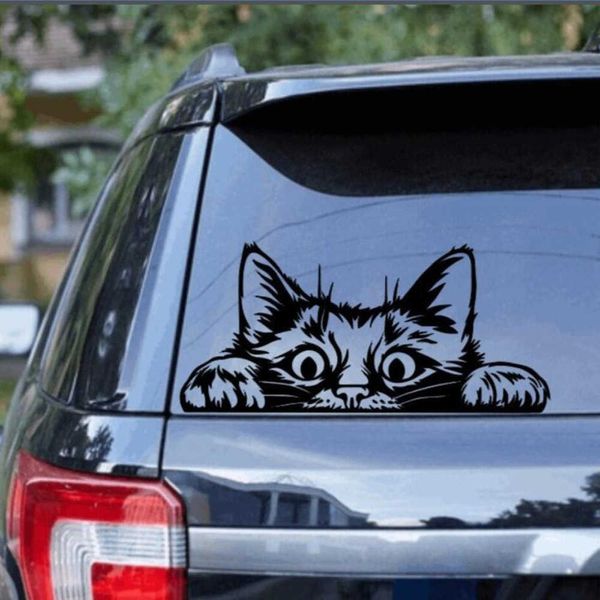 Aufkleber Cartoon Katze Peeking Auto Aufkleber Aufkleber Tattiertier für Autofahrzeuge Windschutzscheibe Stoßstange Pickup Heckklat Offroad Vinyl Dekor R230812