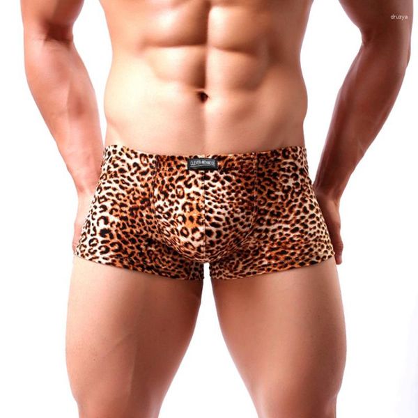 Underpants Men sexy Leopard Stampato Boxer Mintelle Short Shorts Wild Shorts Shorts Muncciale maschi Cueca Hombre