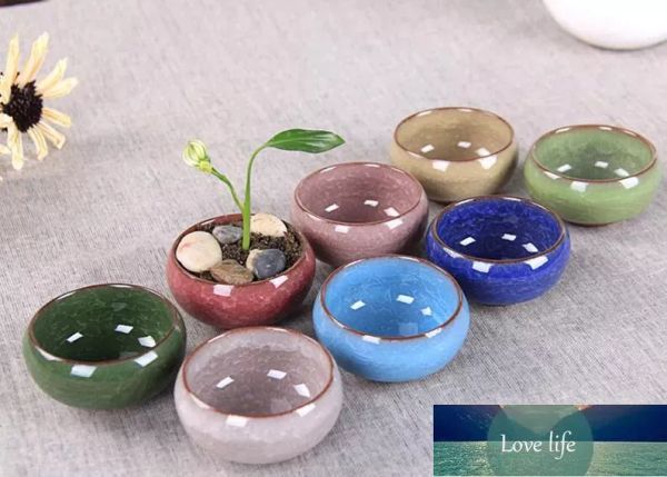 Klassische Arden Pflanzer Blumentöpfe Pflanzer 50pcs/Los Mikrolandschacht Mini Sukkulente Pflanzen Blumen Vase Blumenpot Terrarium Container Mini Bonsa