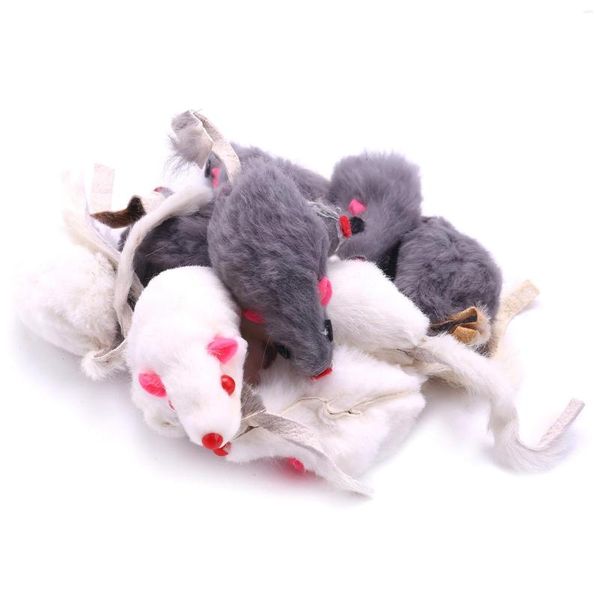Hundekragen echte Pelzmäuse Katzenspielzeug Tierspielzeug Kinder 12-Pack