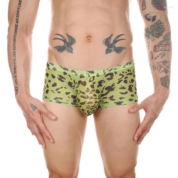 Underpants Mens Sexy Bikers Shorts Shorts Mesh Sheer Undies Ultra Shin Transparent Leopard Print Penis Case Mancciale Cueca