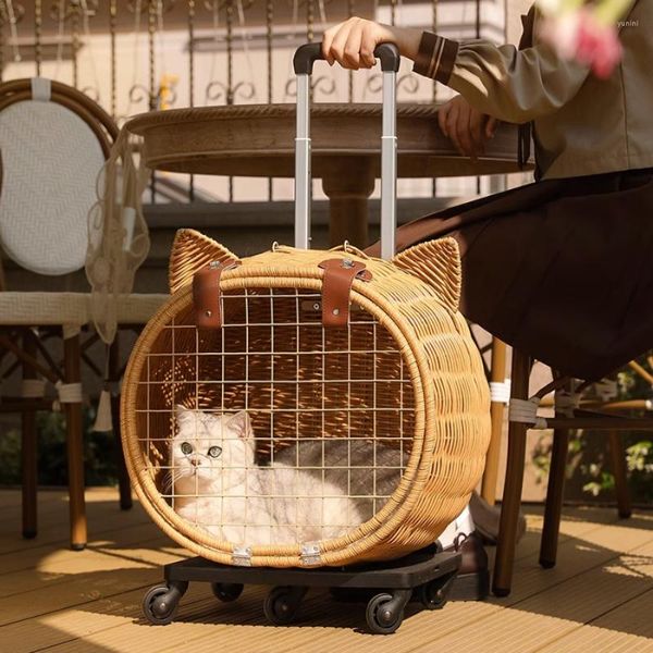 Transportadoras de gatos kawaii wheels gatos backpack feminino Único ao ar livre bola de cachorro de viagem de viagem portátil menina mochila para gato acessórios para animais de estimação