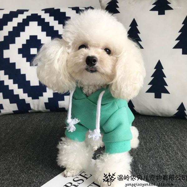 Abbigliamento per cani Autumn/Inverno abbigliamento cotone pettinato Plus Cashmere versione coreana di maglione gatto orsacchiotto di piccole/medie dimensioni