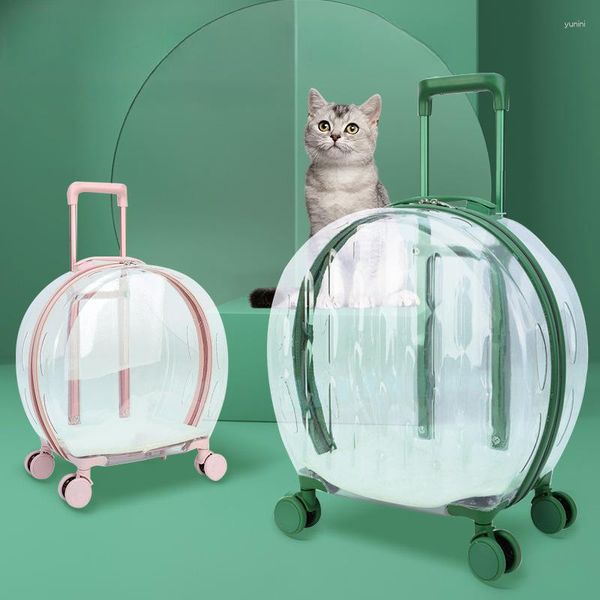 Cat Carriers PC Pet Trolley Box Прозрачная авиационная сумка для подходящего портативного пузыря собаки и