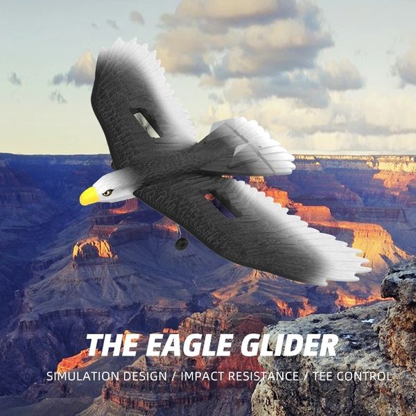 ElectricRC самолета Eagle RC Плана BM17 24G 3CH Бионный пульт дистанционного управления Glider Poam Poam Dired для детей 230812