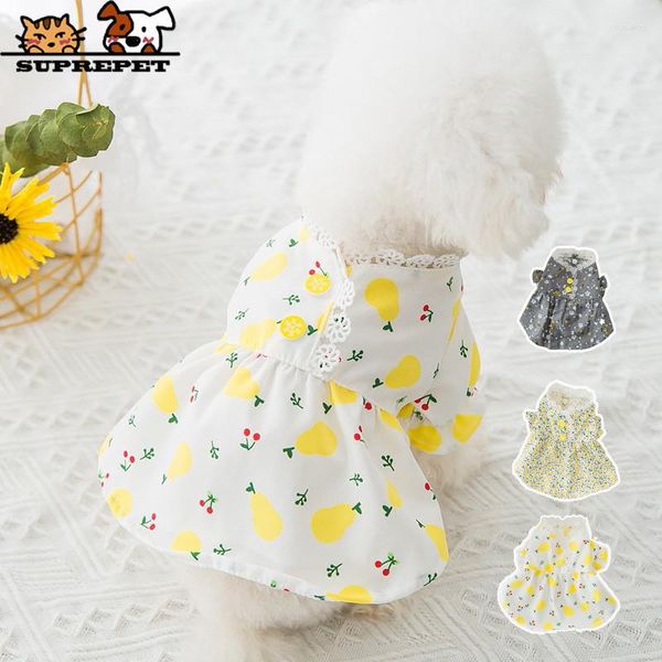 Abbigliamento per cani Sumpata Spring Floral Dress Gonna Rococò Abbigliamento da cucciolo in pizzo abiti da ragazza in pizzo abiti chihuahua per il costume da cane di tagliatore