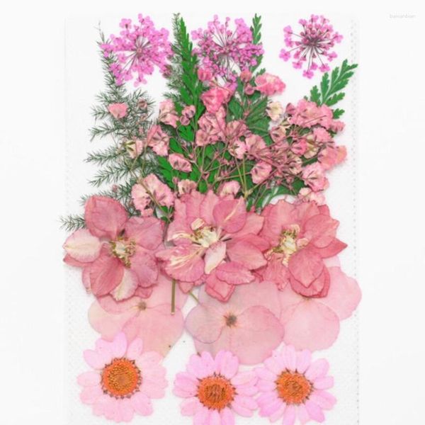 Декоративные цветы 1 комплект смешанный сушеные прессованные цветочные листья растения Гербарий для ювелирных украшений.