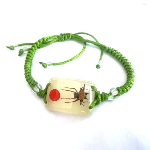 Bracelets de charme 15 PCs resina artesanal de inseto âmbar aranha de pulseira para homens meninos mulheres joias ym cor de corda mista