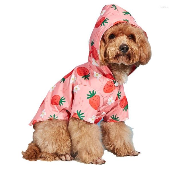 Hundekleidung kleine Regenmantel Erdbeerblüten Haustier wasserdichte Kleidung Pomeranische Pudel Bichon Frise Schnauzer Outfit Kleidung