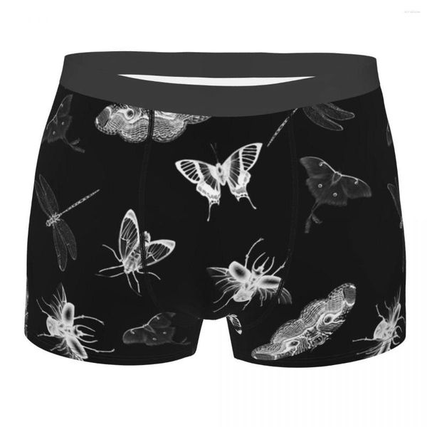 Underpants Humor Boxer Entomologe Albträume Schmetterlinge Shorts Höschen Unterwäsche Tiermitte Taille für männliche S-XXL