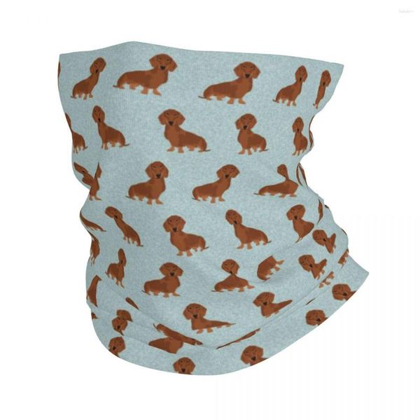 Eşarplar Dachshund Köpek Bandana Boyun Gaiter Baskılı Hayvan Balaclavas Yüz Eşarp Çok Fonksiyonlu Bisiklet Koşan UNISEX Yetişkin