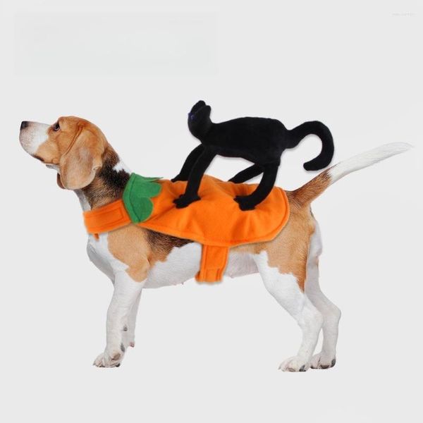 Abbigliamento per cani carino Halloween Costume Fancy Dress per feste Black Cat Rider Accessori per animali