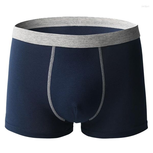 Underpants 3pcs biancheria intima da uomo di grandi dimensioni più pantaloncini da pugile di cotone puro maschio comodi traspiranti l-6xl in moda sciolte pantaloni angolari piatti