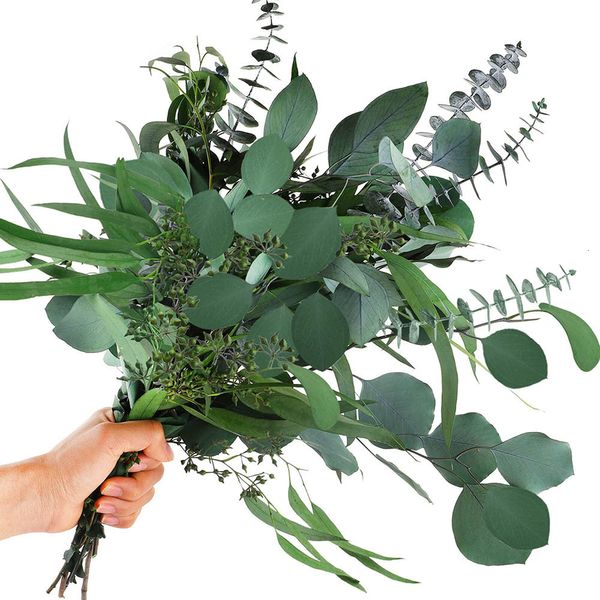 Fiori decorativi ghirlande 12pcs miscelati foglie di eucalipto secco reale steli conservato rami in dollari argento bouquet per accordi floreali del vaso 230814